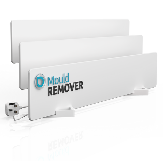 Long-term mould-free – we tackle the root instead of just the surface.