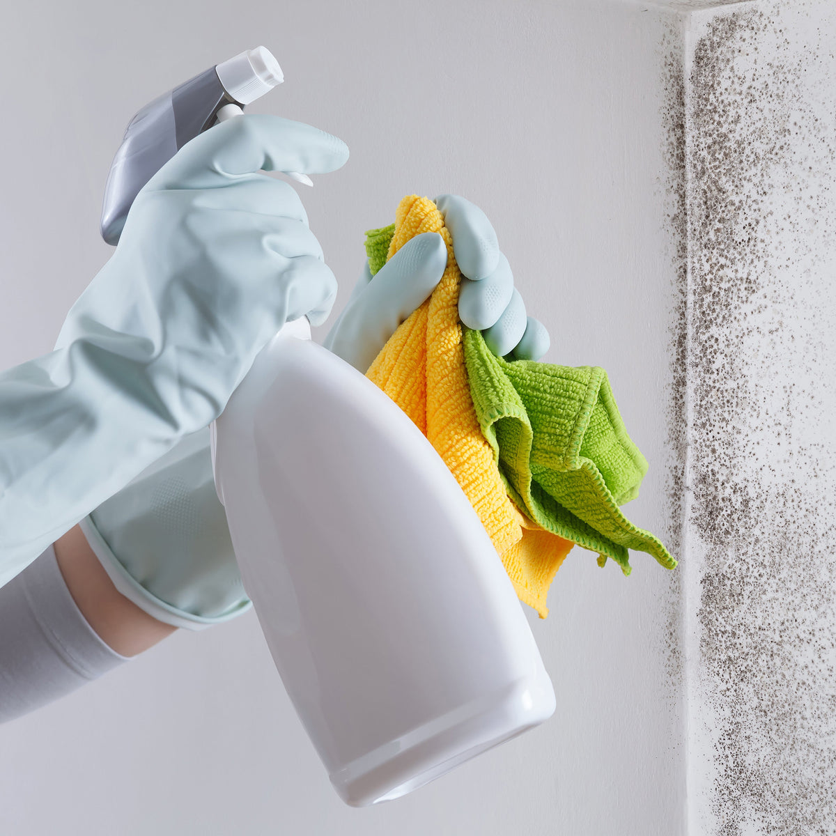 Schimmel Spray ist Chemie
