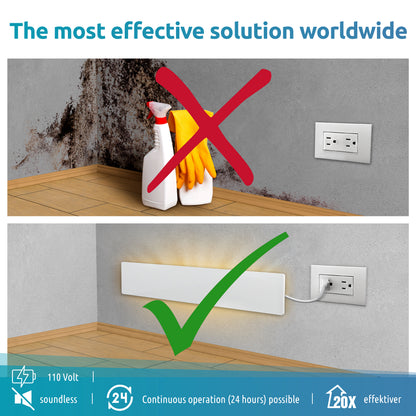 most effective mold remover