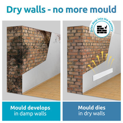 Mould returns - because the wall remains damp