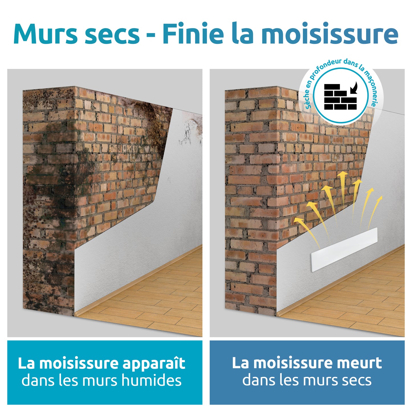 murs secs - finie la moisissure