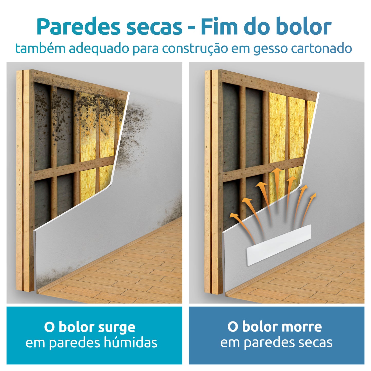 Livre de Bolor graças às paredes permanentemente secas.
