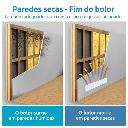 Livre de Bolor graças às paredes permanentemente secas.