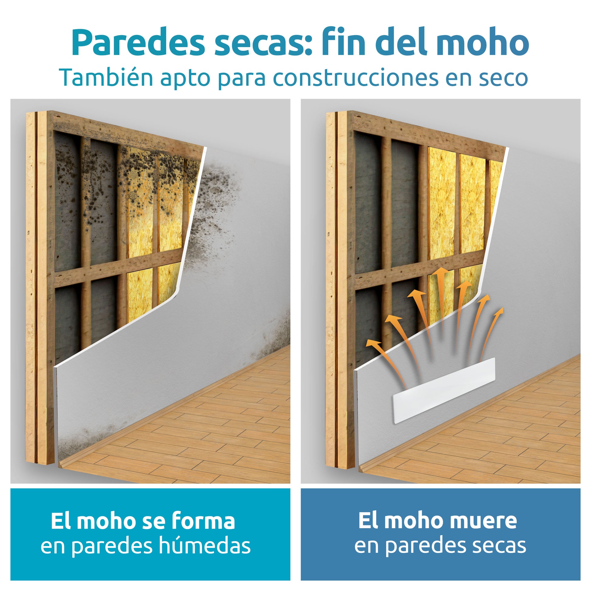 parades secas: fin del mohoc 2