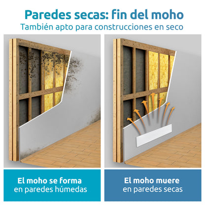 parades secas: fin del mohoc 2