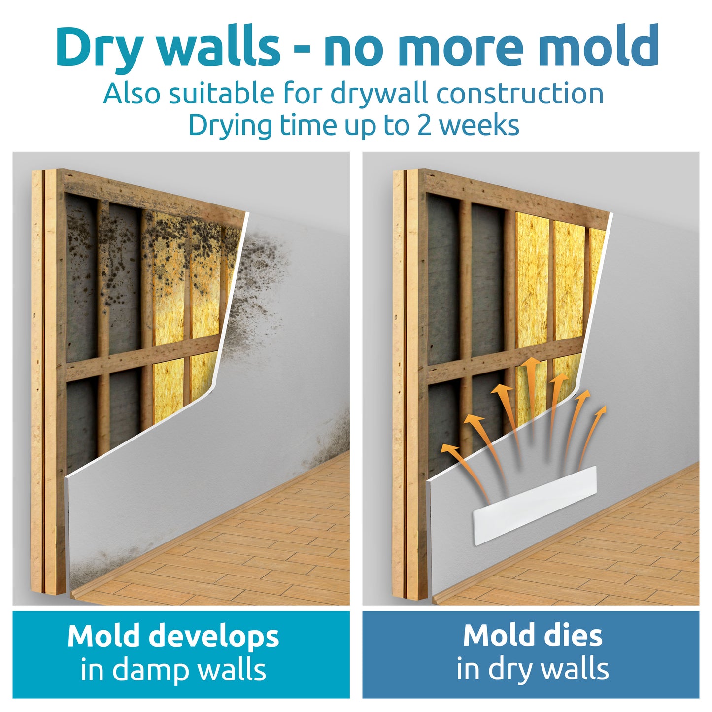 dry walls - no more mold