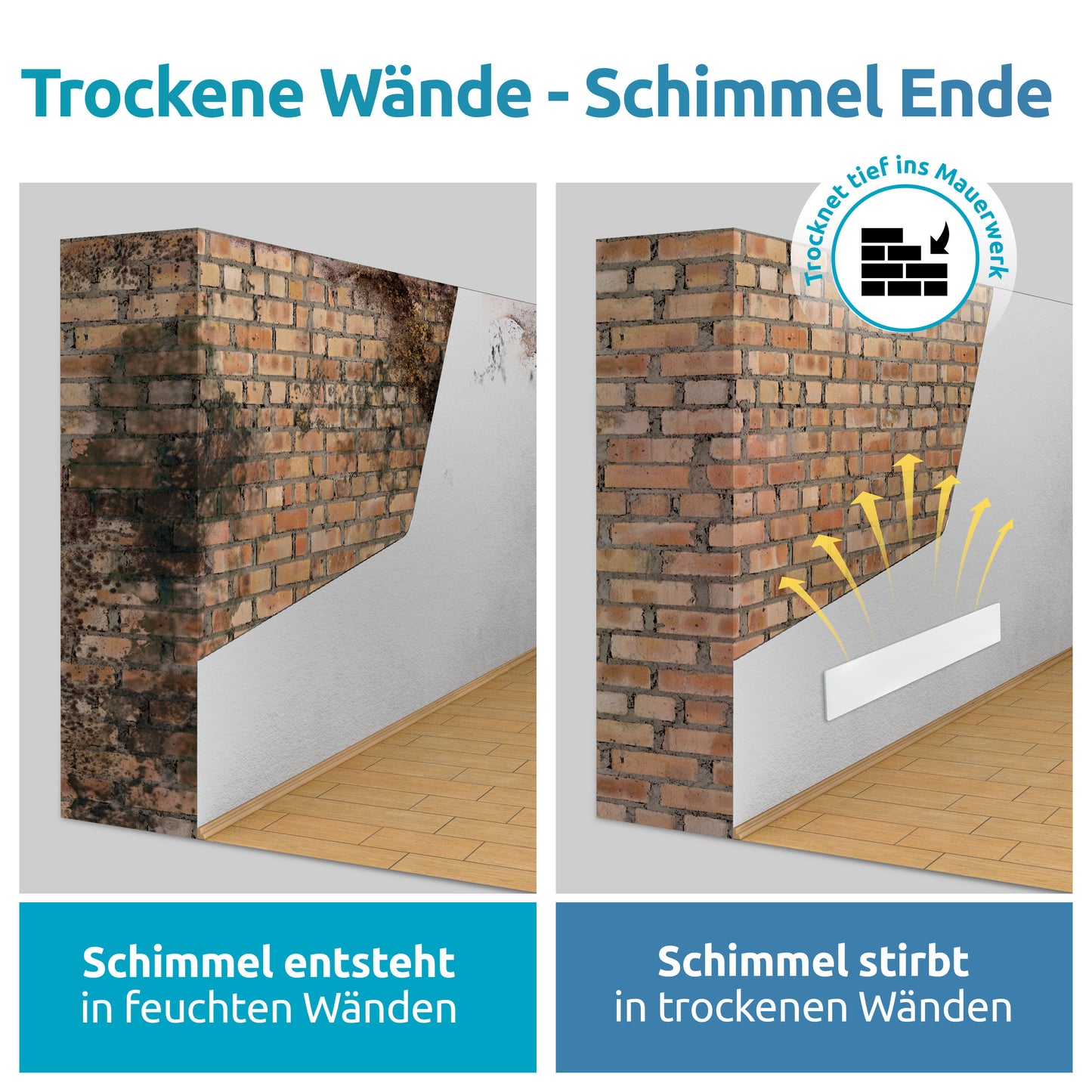 Livre de bolor a longo prazo – atuamos na raiz e não apenas na superfície.