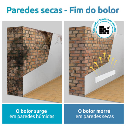 Livre de Bolor graças às paredes permanentemente secas.