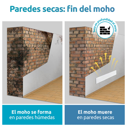 parades secas: fin del moho