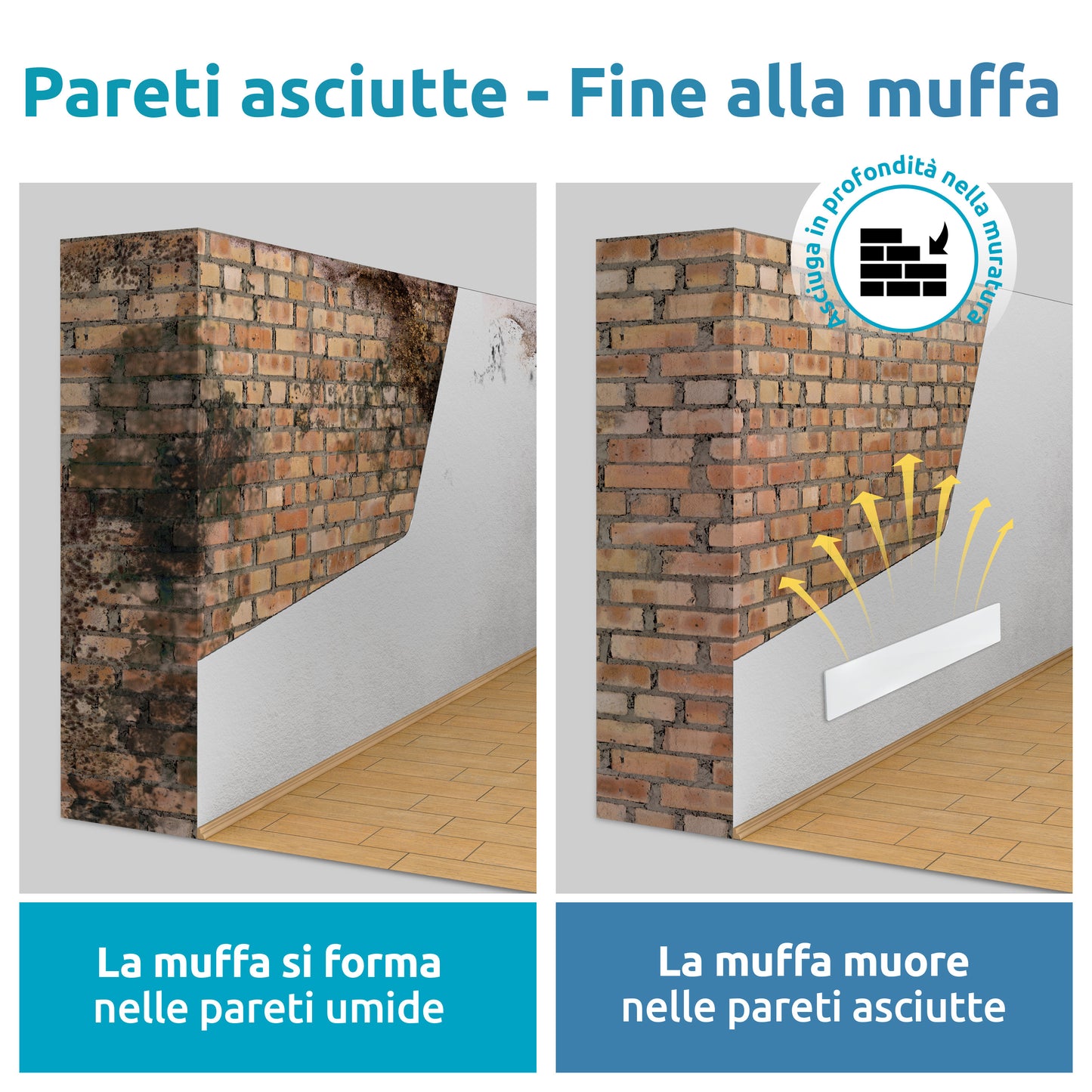 pareti asciutte - fine alla muffa