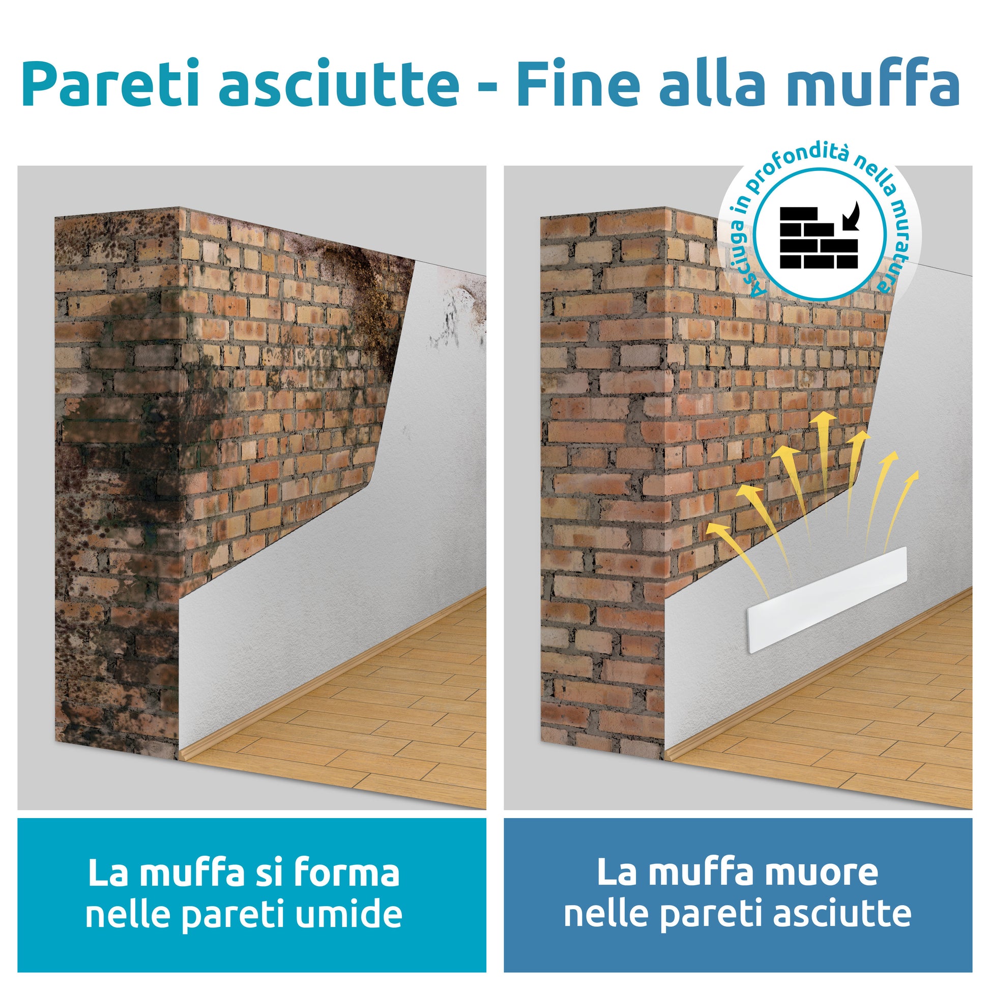 pareti asciutte - fine alla muffa