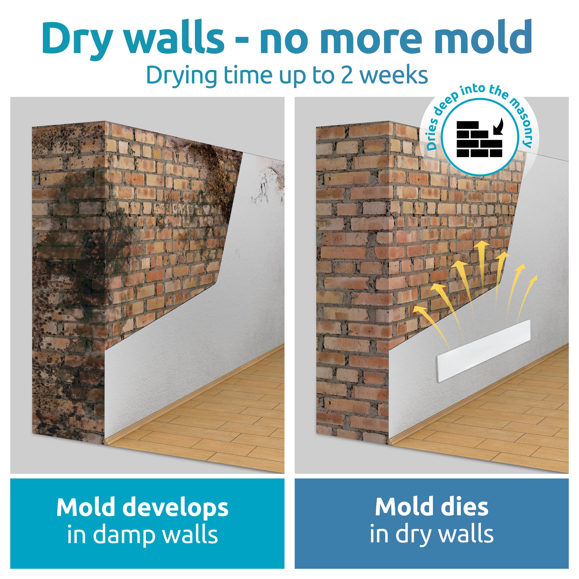 dry walls - no more mold 2