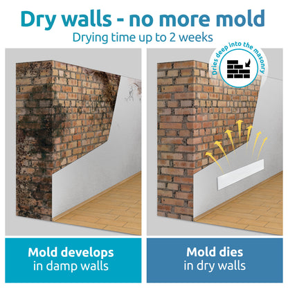 dry walls - no more mold 2