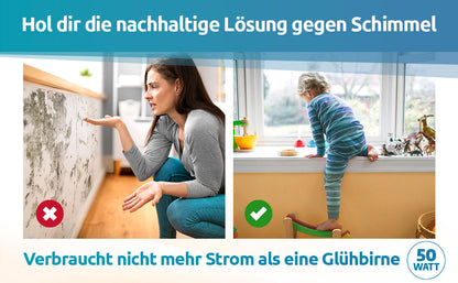 Schimmel-DRY Basismodul B-Ware
