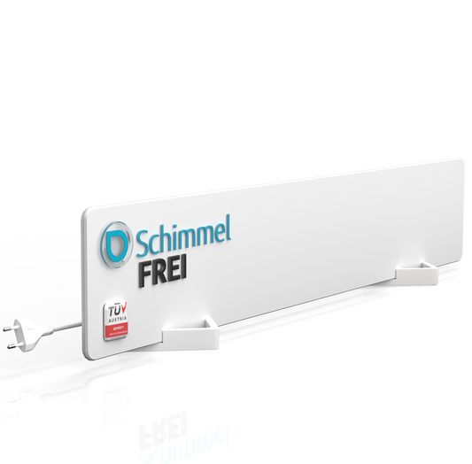 Schimmel kommt zurück - weil die Wand feucht bleibt