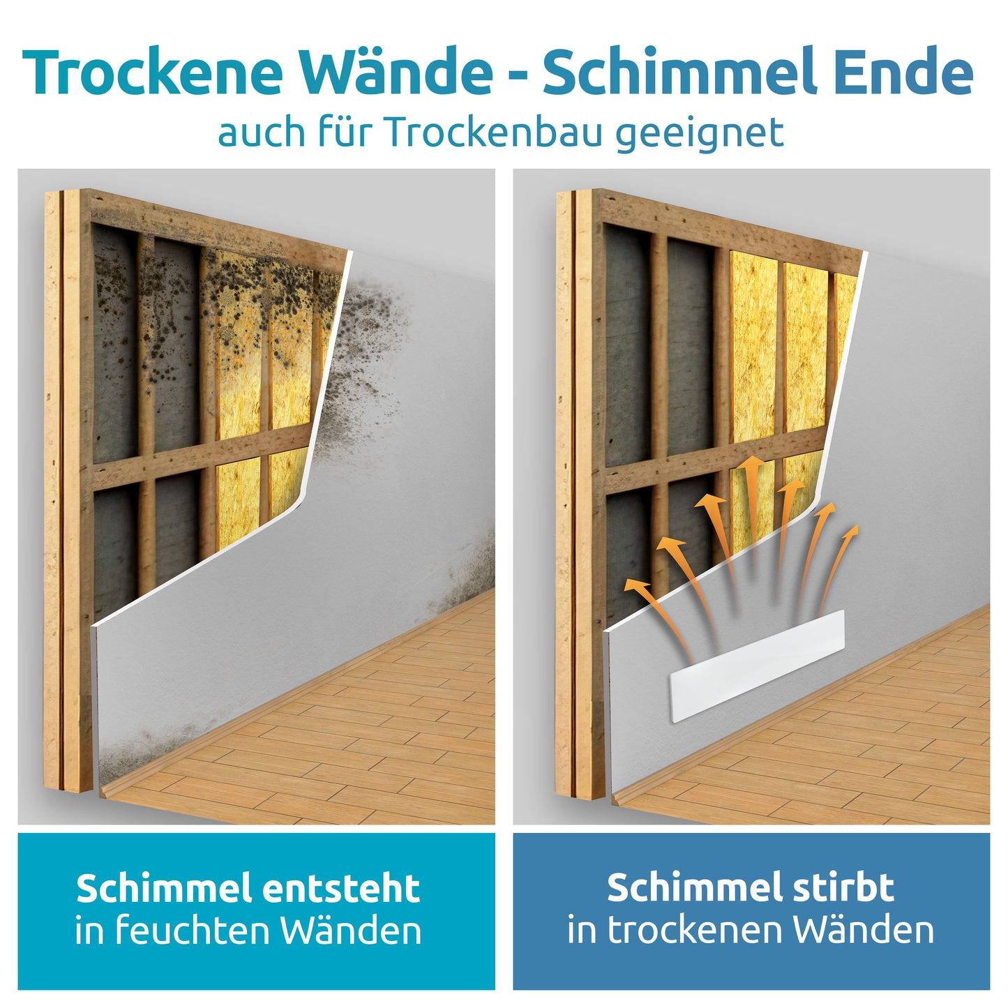 Schimmel-DRY 3er-SET
