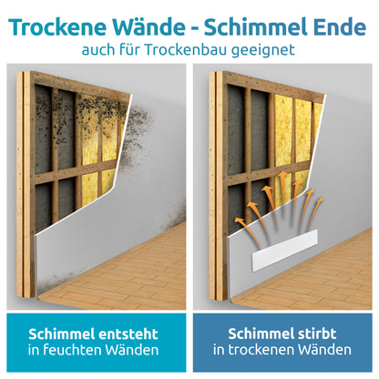 Schimmel-DRY 3er-SET