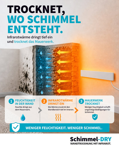 Schimmel-Dry Komplett-Startpaket inkl. gratis Vorbehandlungsset