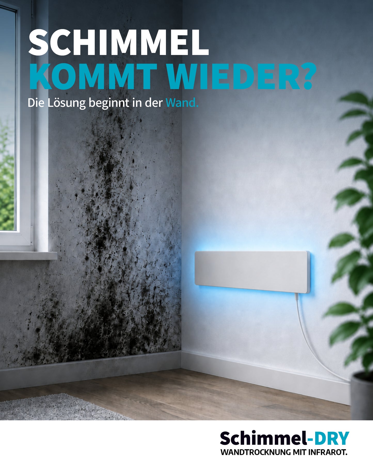 Schimmel-Dry Komplett-Startpaket inkl. gratis Vorbehandlungsset