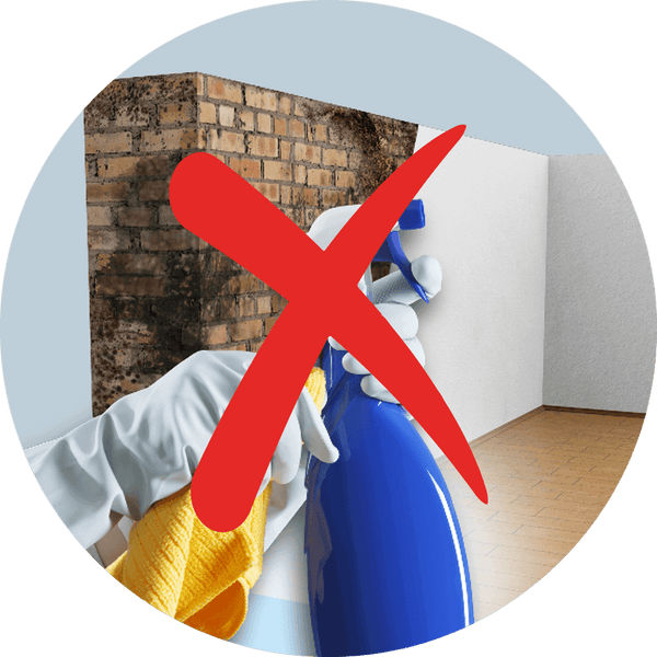Bild rechts