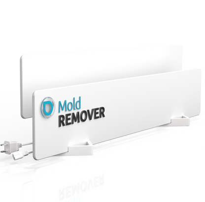 mold-remover 2er SET