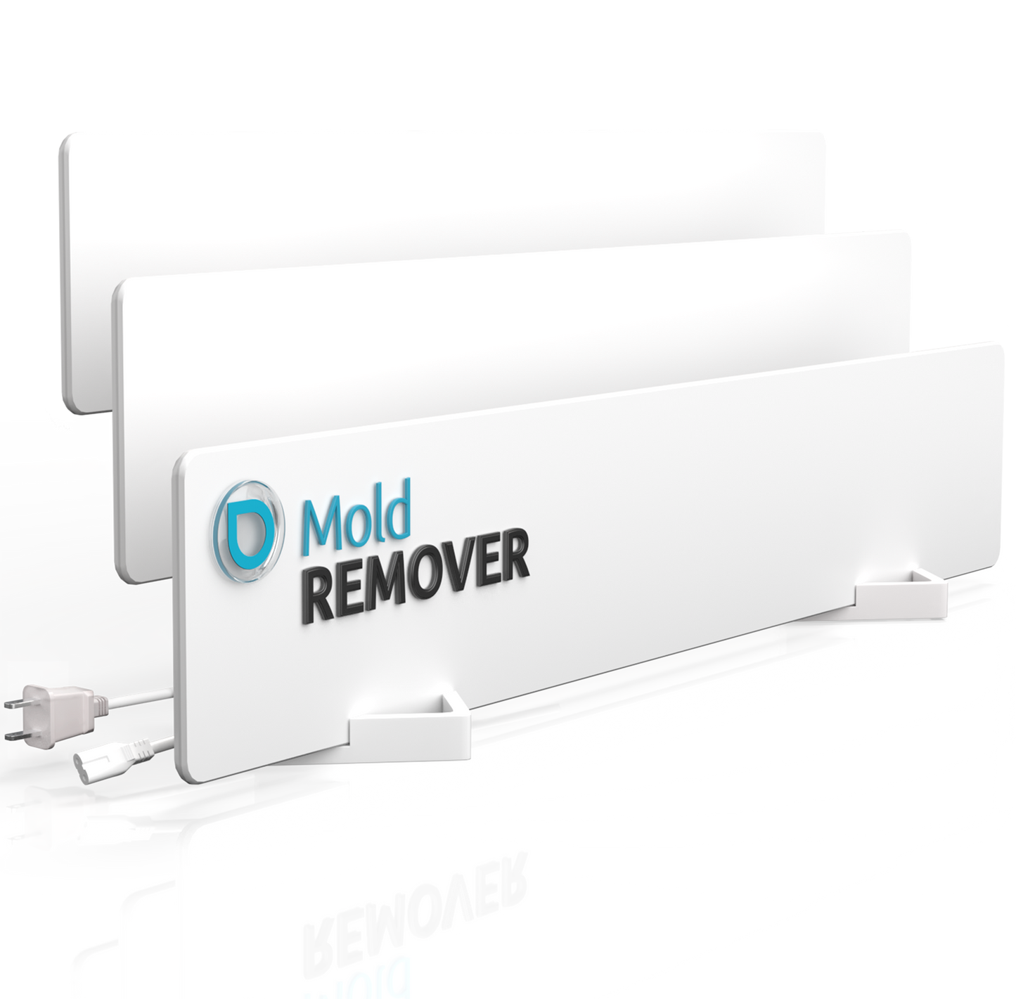 Mold-free for the long term – we tackle the root cause, not just the symptoms.