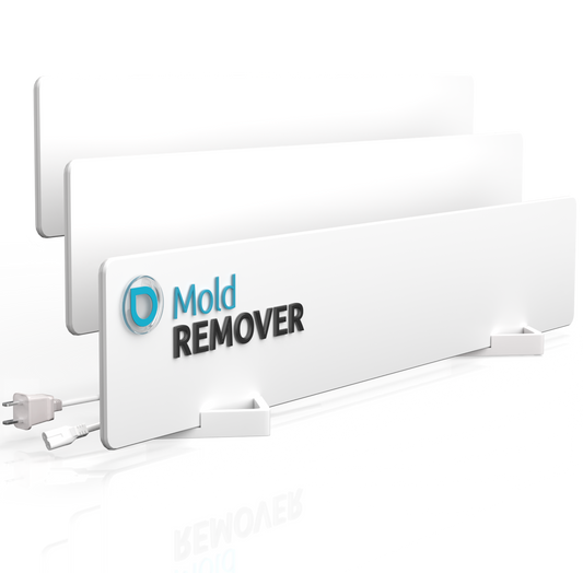 Long-term mould-free – we tackle the root instead of just the surface.