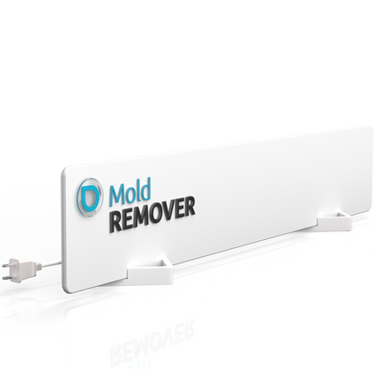 mold-remover-basic