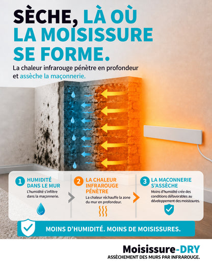 [fr]sdry_basis_neu_fr_02