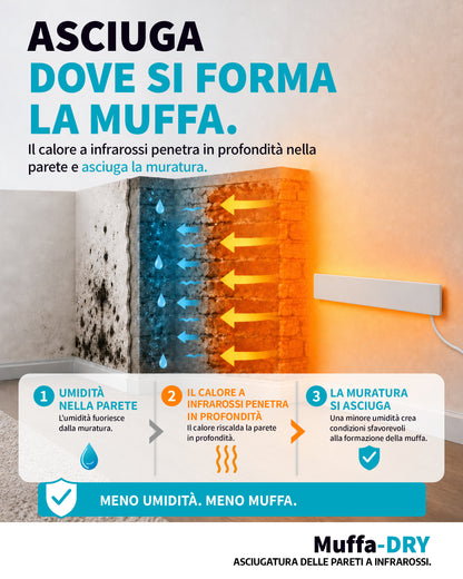 [it]Muffa-DRY_Dove si Forma2