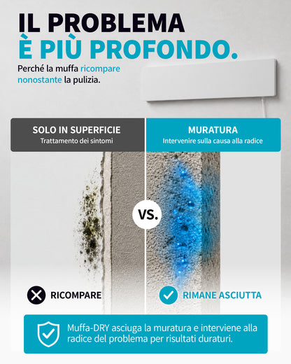 [it]Muffa-DRY_modulo_Il Problema_03