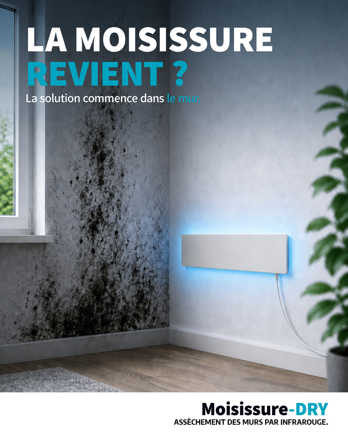 [fr]sdry_basis_neu_fr_04