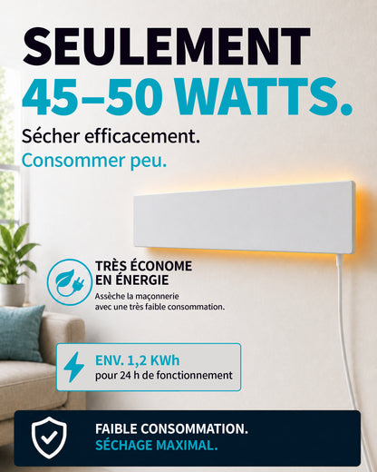 [fr]sdry_basis_neu_fr_06