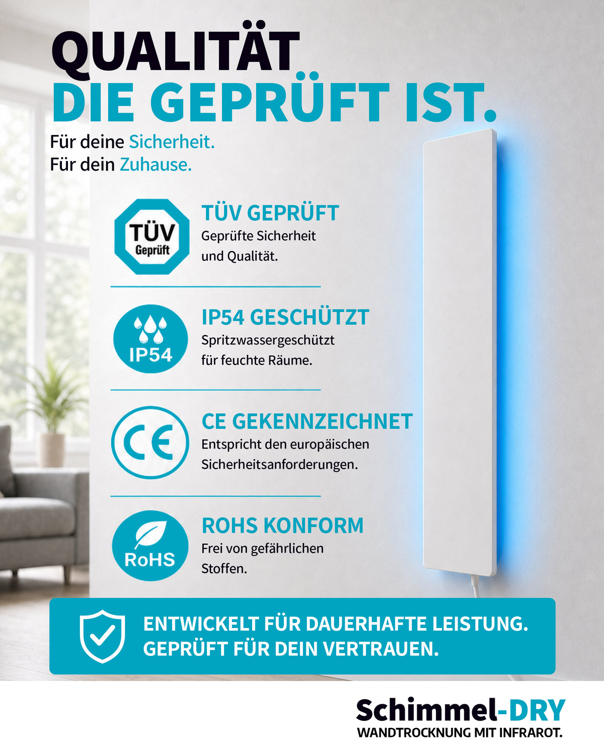 Schimmel-DRY Erweiterung 07
