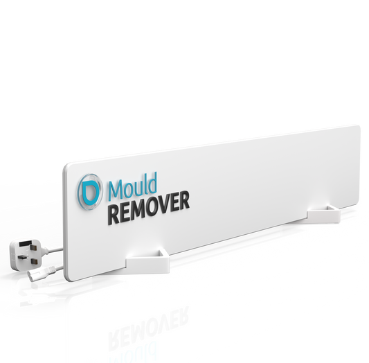 [en]Mould-DRY_erweiterung_main_01