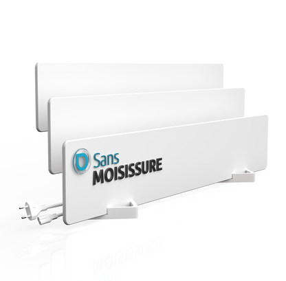 Lot of 3 sans moisissure