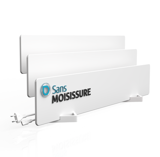Lot of 3 sans moisissure