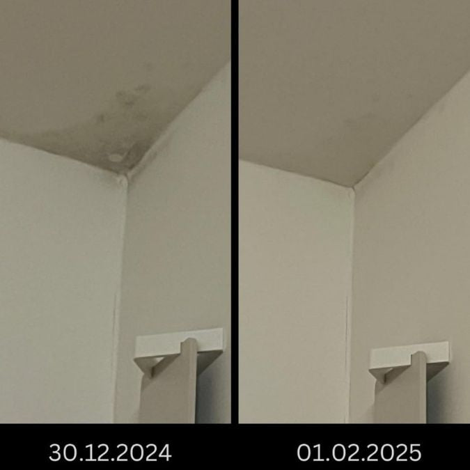 Fotografia de um cliente do canto de uma divisão: à esquerda a 30/12/2024 com bolor no teto, à direita a 01/02/2025 sem bolor